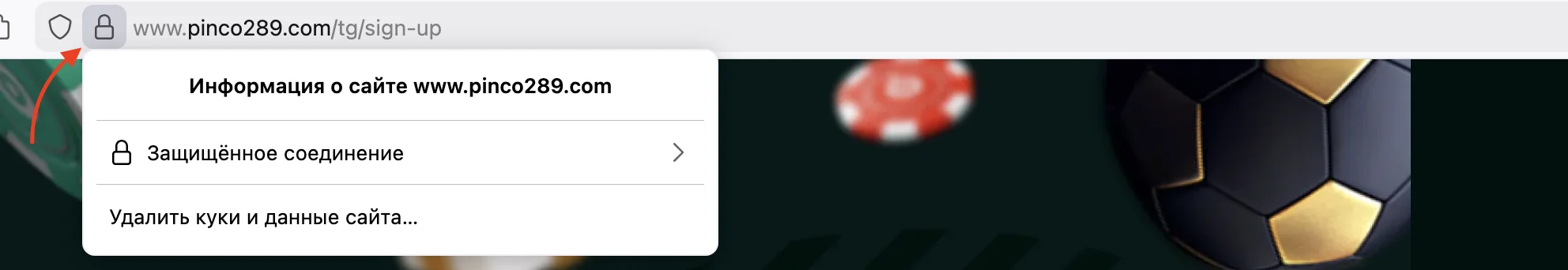 Адресная строка браузера с защищённым https-зеркалом Pinco